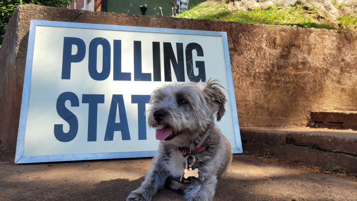 Let's see your pics of #dogsinpollingstations for the UK #LocalElections2025!