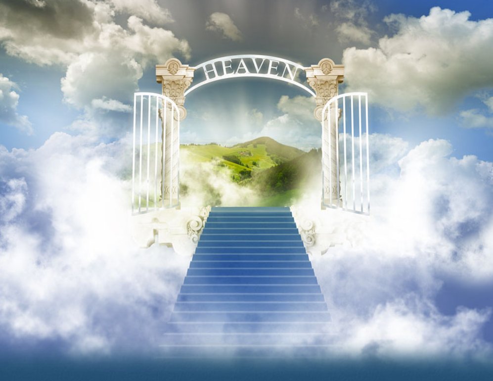 ✨$Heaven – Where We All Dream to Be. Elevate your holdings above the clouds