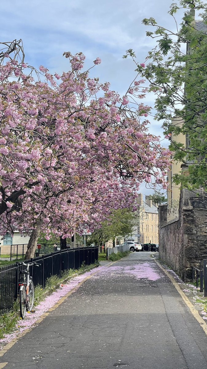 AAlmalki1414's tweet image. Trying to overcome the aftermath of 4 days of pure squeeze and smash in Edinburgh.
Glad to meet my senior colleague though! Thanks for the support 😇 @Talal_AIghamdi
Let the dust settle now!
يارب تمم على خير للجميع