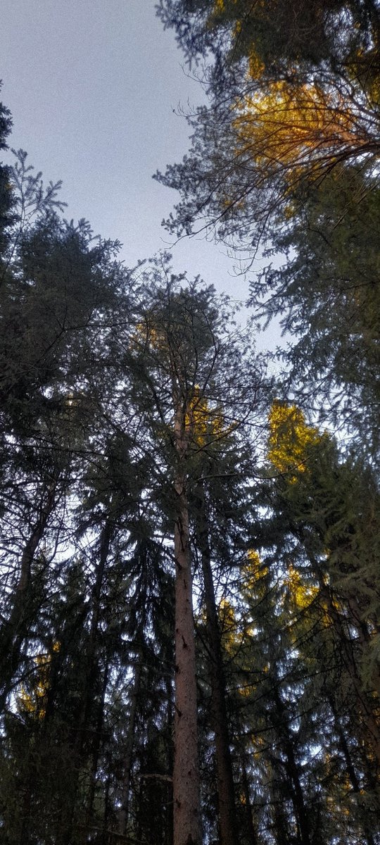 OfMemory_Art's tweet photo. #nature #photography #NaturePhotography #NatureBeauty #photo #sky #outofmemory https://t.co/0b8KAlF1i1