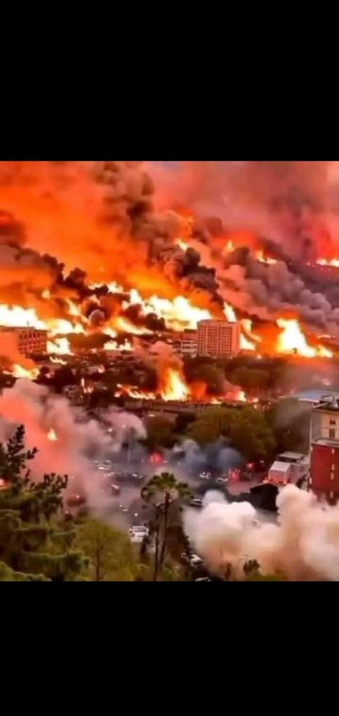 تظهر حرائق الغابات التي وقعت بالقرب من القدس في 30 أبريل 2025. تقارير إخبارية تؤكد اندلاع حرائق واسعة أثرت على أكثر من 100 موقع، تسببت في إجلاء أكثر من 7000 شخص وإصابة 45. 
الحمدلله الله قادر ينتصر للمظلومين لنساء واطفال غزه 
ليس بحاجتكم يا حكام الخلاعه والتفاهه 
#اسرائيل_تحترق