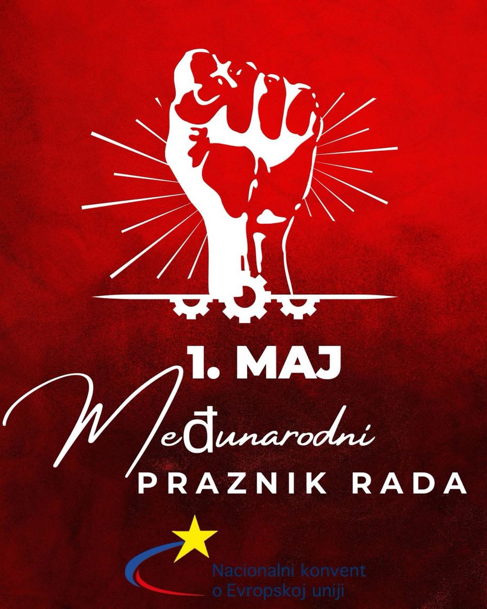 Danas, kada obeležavamo značaj borbe za radna prava, podsećamo da su dostojanstven rad, socijalna pravda i jednaka šansa za sve – temeljne vrednosti Evropske unije.

U izazovnom procesu pridruživanja Srbije Evropskoj uniji, briga za radna prava, unapreðenje uslova rada i