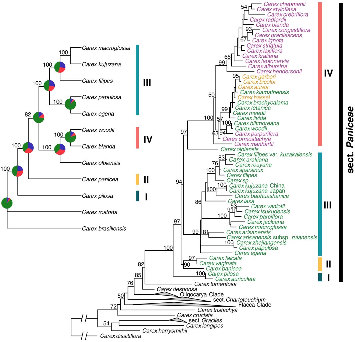 JournalSysEvo's tweet photo. Lu et al. reveal the underexplored role of East #Asia in the #biogeography of #grass-like #plants and the existence of alternative migration routes in explaining the E. Asia–eastern N. America pattern of #disjunction.
https://t.co/pB3gE87363 @WileyEcolEvol #PlantSci #systematics https://t.co/CichhbobBU