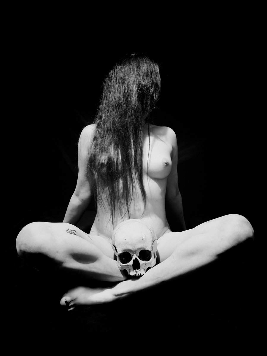 🐺 Wolf 🐺 tweet media