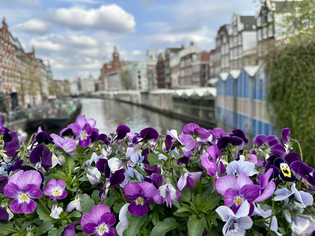 AMCharavaswell's tweet photo. #Amsterdam https://t.co/qxX9zMYxvw