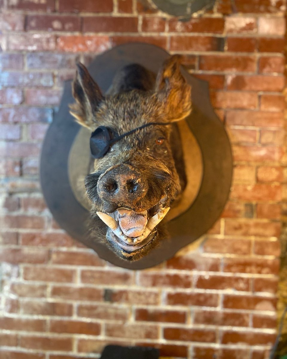 There is a new edition at the Blind Pig Barber Company, and it needs a name. Let us know what we should name the boar by contributing your suggestion at forms.gle/1GSQydUx5UpMXg….

If we select your name, you will receive some cool Blind Pig merch! No purchase necessary.