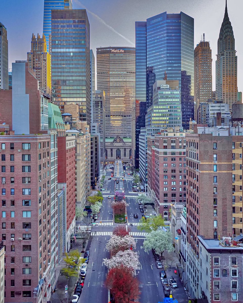 Park Avenue, NYC 🗽