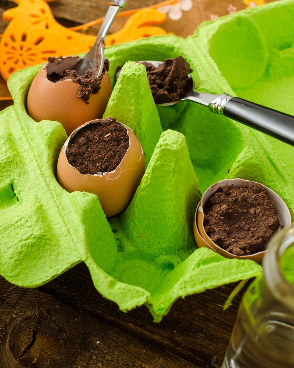 May is here, and spring is in full bloom! 

Did you know you can use eggshells to help your plants thrive? 

Simply crush them up and mix them into the soil for a natural boost of calcium and nutrients.