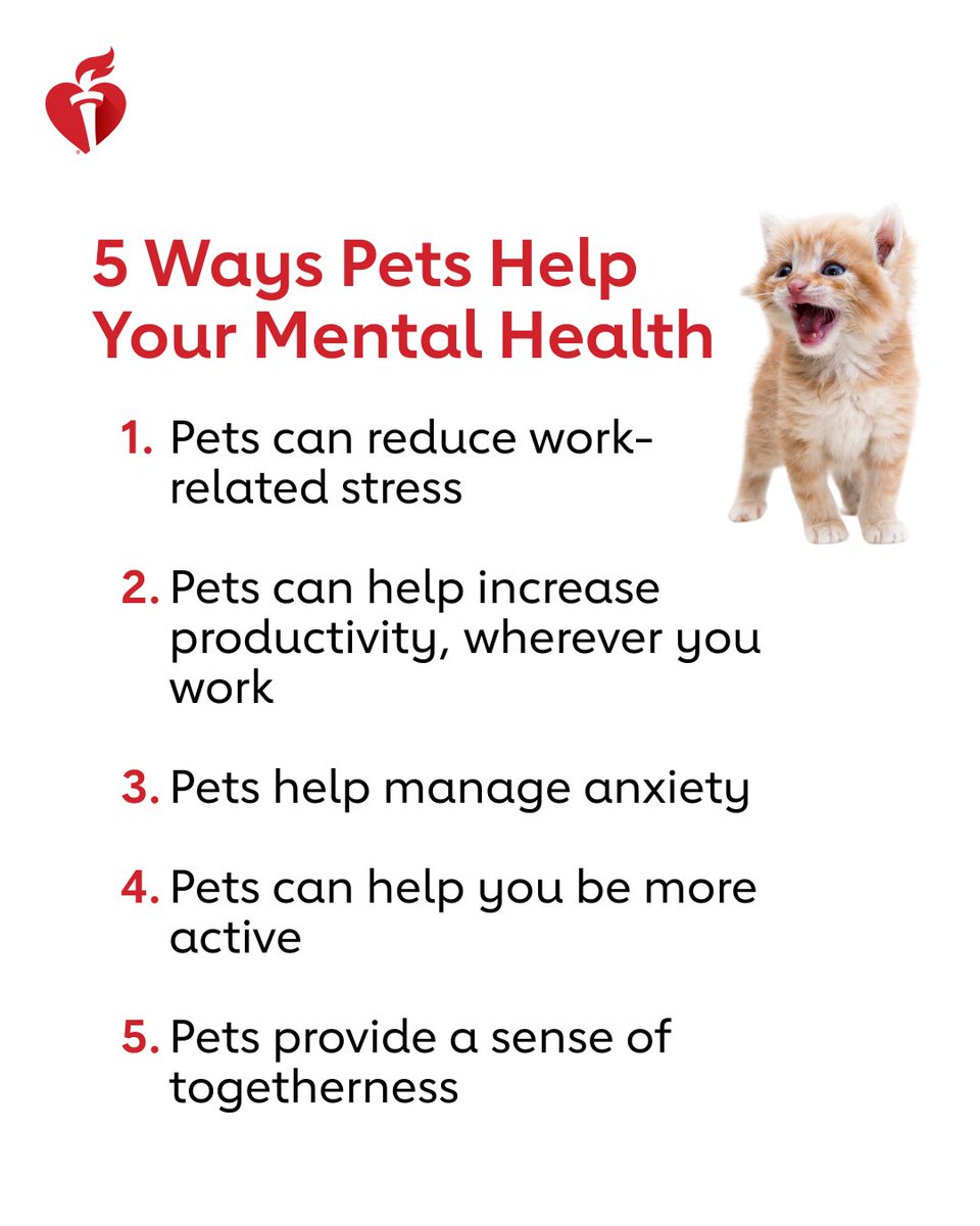 American_Heart's tweet photo. Pets are the best. ❤️ https://t.co/cwBbCb9Qgs