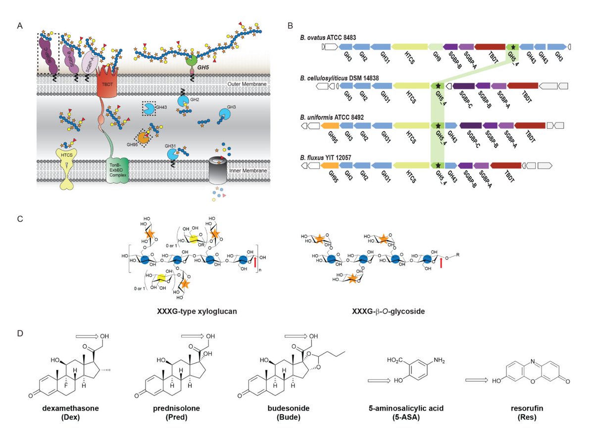 Eric Topol (@erictopol) on Twitter photo New <a href="/ScienceMagazine/">Science Magazine</a>
An innovative way to deliver drugs to the gut at low doses to suppress inflammation
science.org/doi/10.1126/sc⦠New <a href="/ScienceMagazine/">Science Magazine</a>
An innovative way to deliver drugs to the gut at low doses to suppress inflammation
science.org/doi/10.1126/scā¦