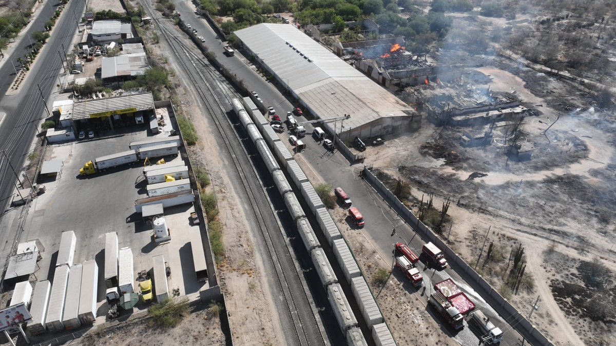 La Noticia En Linea tweet media