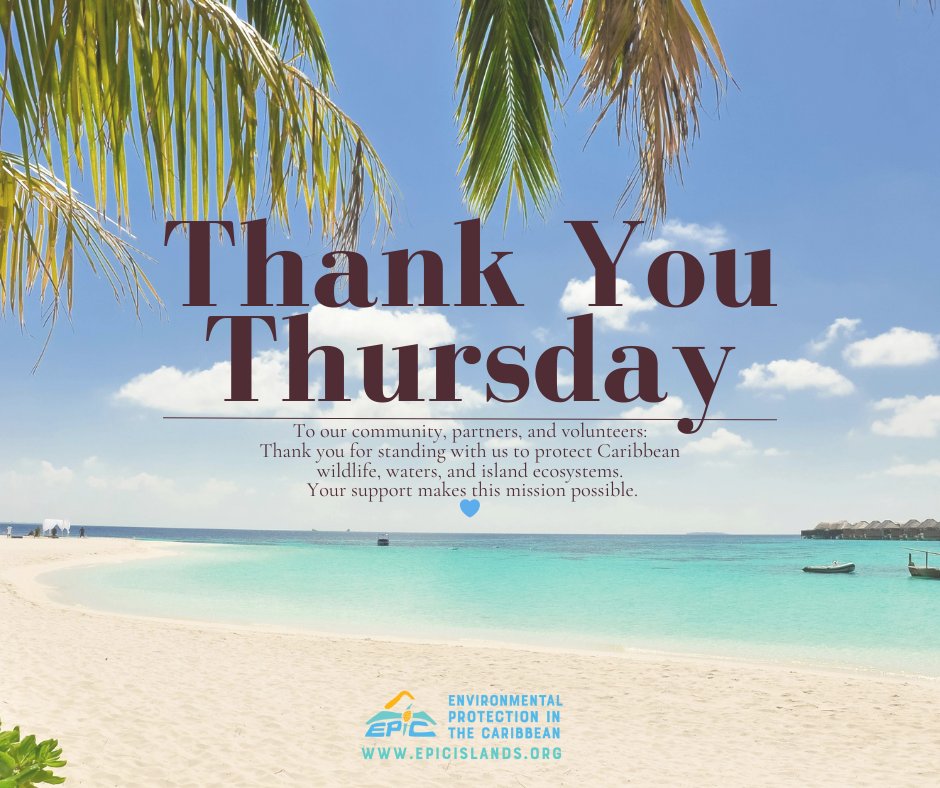 🙏 #ThankYouThursday – At EPIC, we protect the Caribbean together! 🌱🌊 Huge thanks to our community, volunteers, and partners for your passion! 💚 

#EPICIslands #CaribbeanConservation #CommunityScience #CoastalCleanup #VolunteerPower #IslandPride