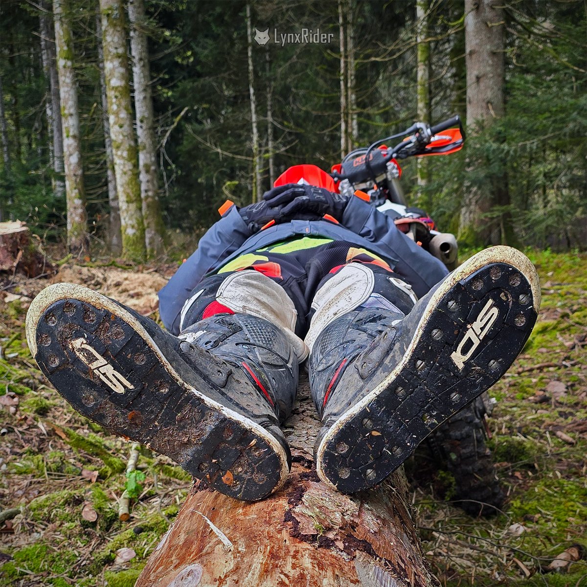 Taking a little rest...

#ktm #ktm300exc #ktmexc #ktmfamily #ktmlove #bikelife #bikerboy #bikers #dirtbike #dirtbikelife #enduro #endurobike #endurolife #gear #gearfun #motorbikelife #motorcycle #readytorace