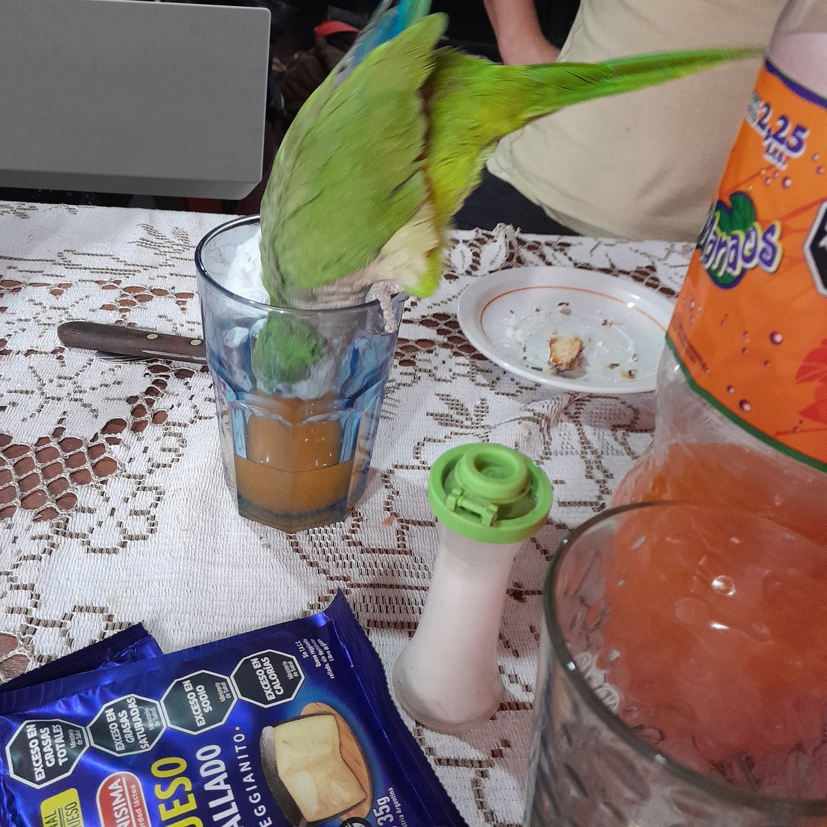 mi viejo esta orgulloso de que la cotorra toma manaos de naranja Es mas me dijo 'mostrale a tus amigos que la cotorra toma manaos de naranja'