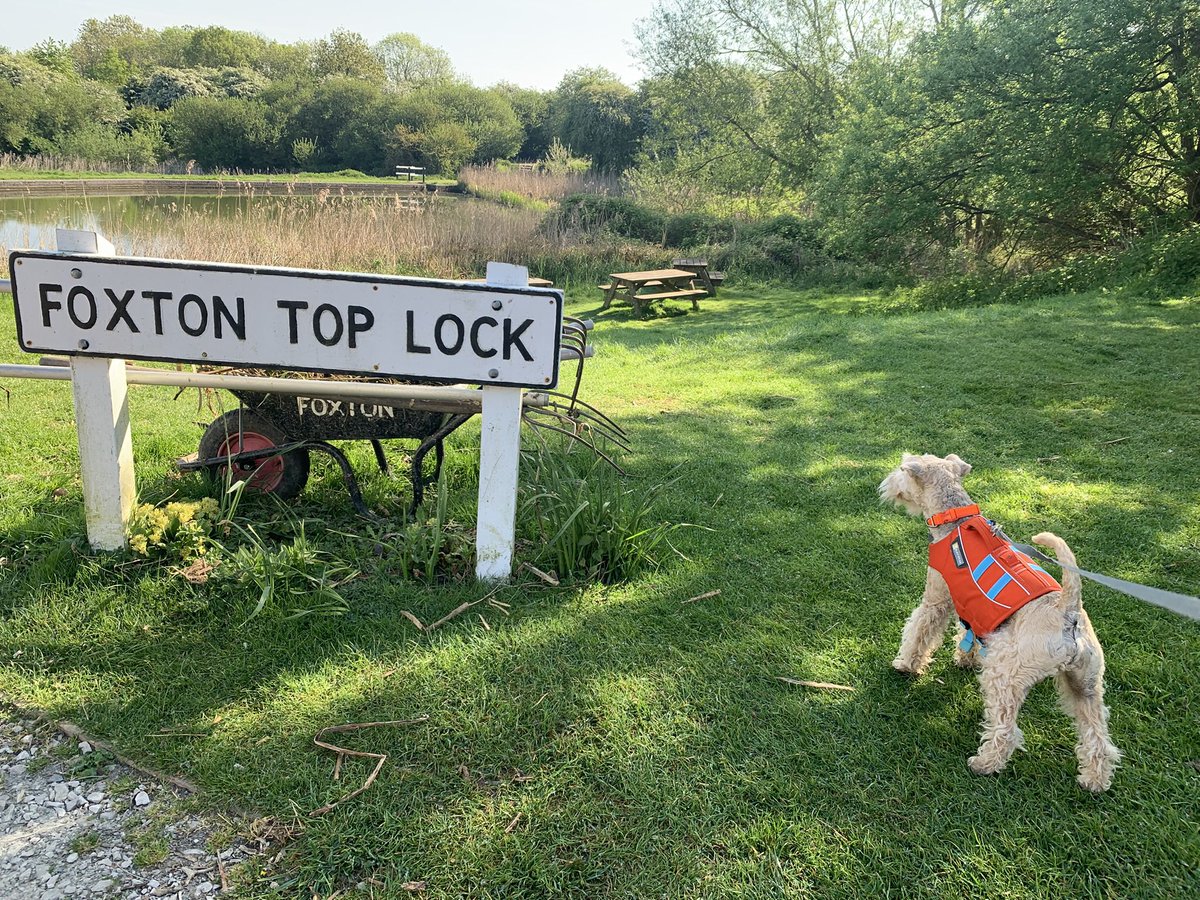 StanleyLakeland's tweet photo. So, yesterday we came down Foxton Locks, it was warm ๐คฃ ๐ The fabulous Sue #LockVolunteer was beyond fabulous helping Mum sheโs a ๐ Huge thanks ๐ @CanalRiverTrust
#SaveBritainsWaterways #FoxtonLocks #SueForVounteerofTheYear ๐ https://t.co/Iu1Vye0sZc