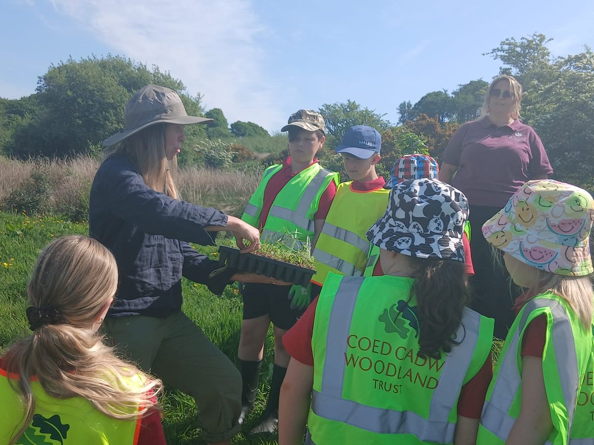 Sunshine, beautiful countryside, pond planting and financial literacy 🌞🌳💰. Year 5 had a fabulous time today at Brynau Farm with Lloyds Bank and the Woodland Trust. 
#CatwgWellbeing #CatwgOutdoors #CatwgEco #CatwgNum