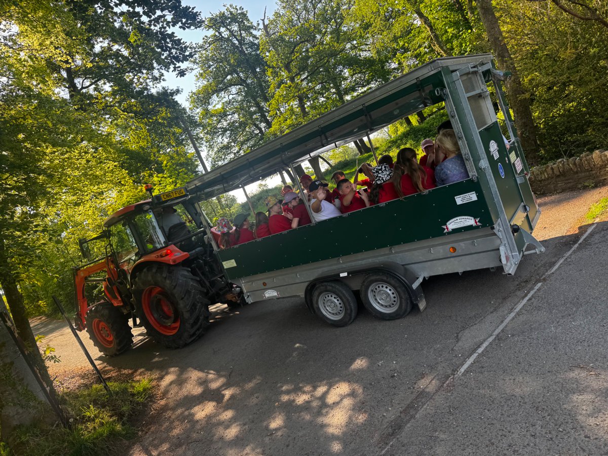 Sunshine, beautiful countryside, pond planting and financial literacy 🌞🌳💰. Year 5 had a fabulous time today at Brynau Farm with Lloyds Bank and the Woodland Trust. 
#CatwgWellbeing #CatwgOutdoors #CatwgEco #CatwgNum