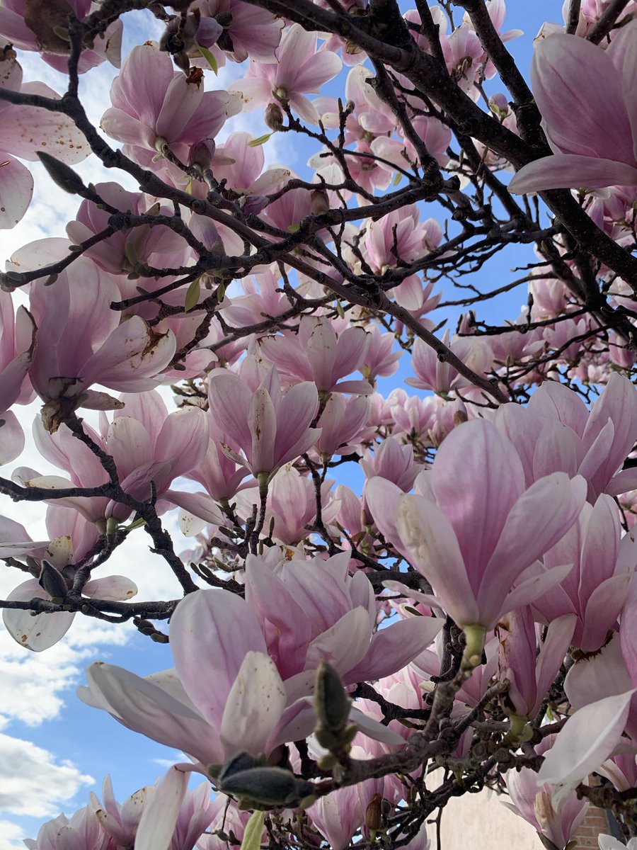 Elle ✨ tweet media