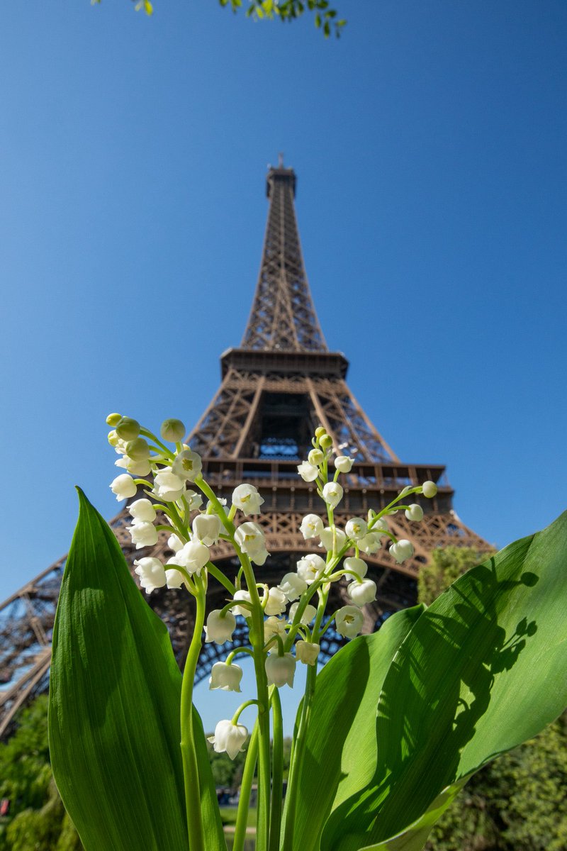 En ce 1er mai, hommage à celles et ceux qui bâtissent notre société, souvent dans la précarité, mais toujours avec dignité.
Travailleurs invisibles,oubliés, vous êtes la force vive de notre pays
Notre combat est le vôtre : égalité, justice sociale, reconnaissance 🙏🏻
#1erMai2025