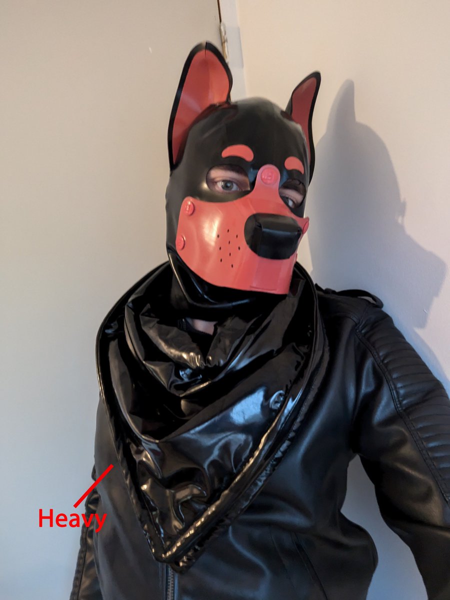 <a href="/russelbuck/">russelbuck 🐶 🎶 🔜WEST COAST MINI TOUR!!!</a> It's my time to shine (literally)

🦊 : <a href="/IchigoRenardAD/">Ichigo Renard Rubber fox</a> 
🦁 : <a href="/Brax97827172/">Brax & Aroten</a> 

I like making bandanas.