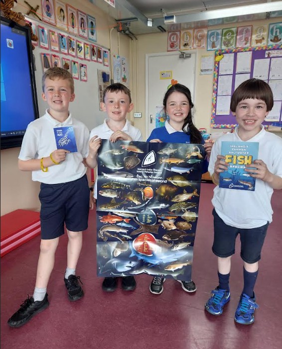 Scoil Mhuire, Latton (@lattonns) on Twitter photo A huge thanks to <a href="/InlandFisherIE/">Inland Fisheries Ireland</a> for the best underwater meet and greet. #SomethingFishy had our pupils hooked as they got up close and personal with live fish and freshwater creatures.
We had a r-eel-ly fin-tastic day! ππ #CatchPhotographRelease #AquaticAwe A huge thanks to <a href="/InlandFisherIE/">Inland Fisheries Ireland</a> for the best underwater meet and greet. #SomethingFishy had our pupils hooked as they got up close and personal with live fish and freshwater creatures.
We had a r-eel-ly fin-tastic day! ππ #CatchPhotographRelease #AquaticAwe