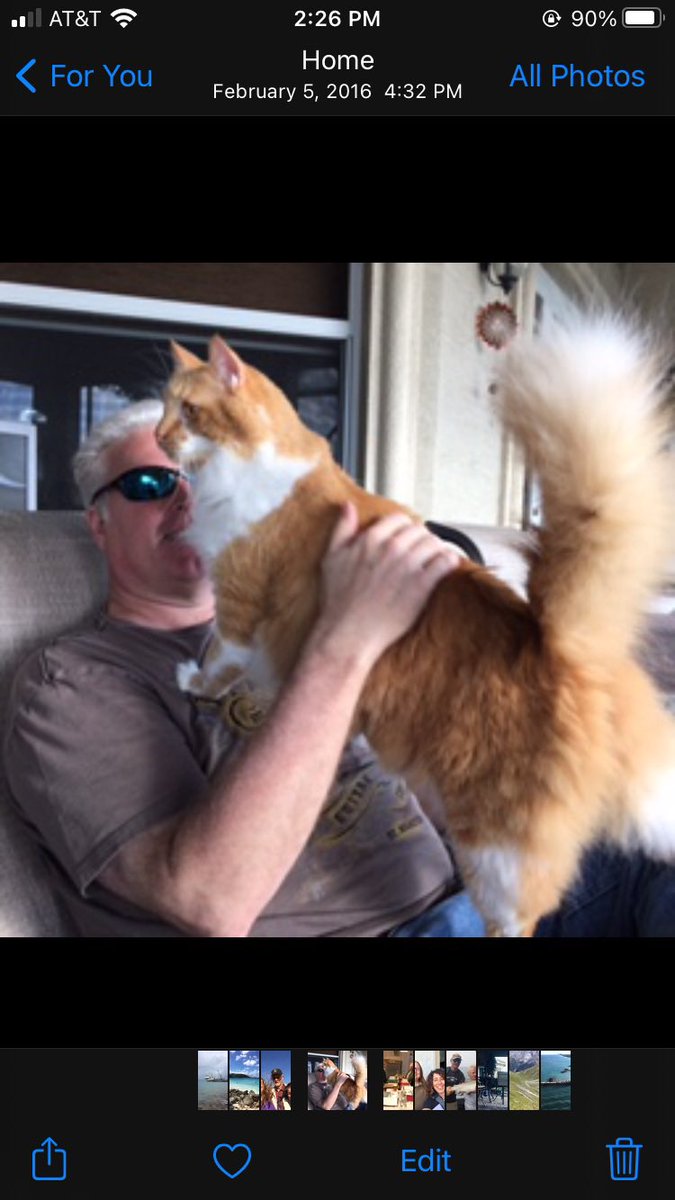 Foxy loved his catdaddy
