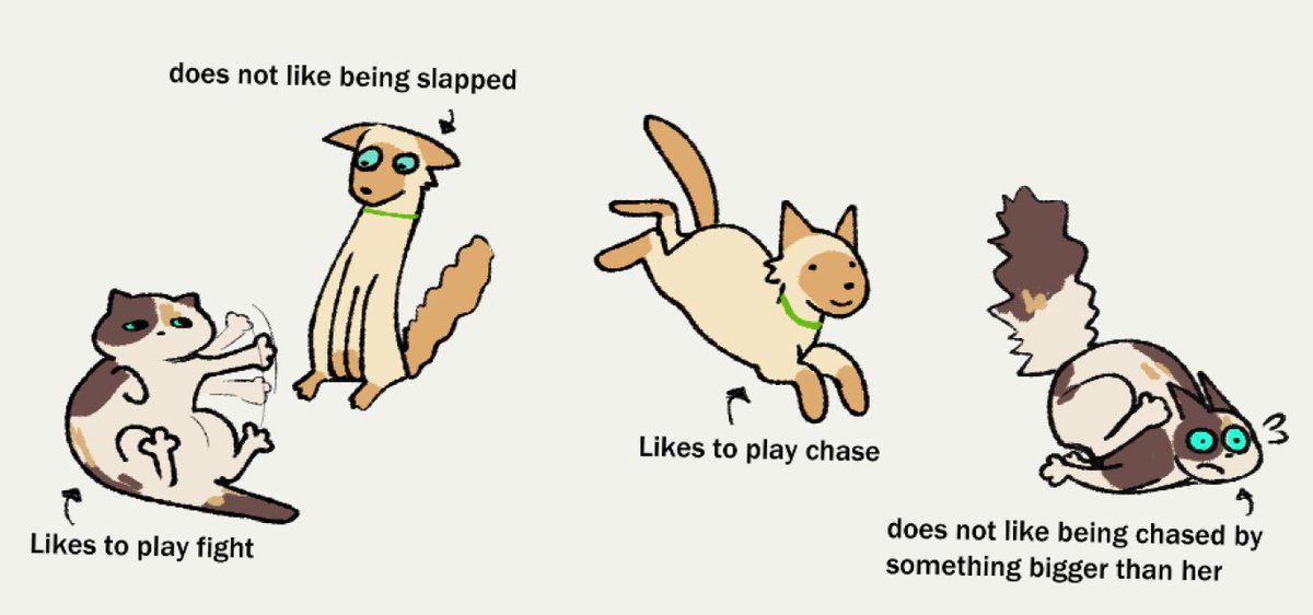 my cats have two complete opposite ideas of what is fun to play between each other