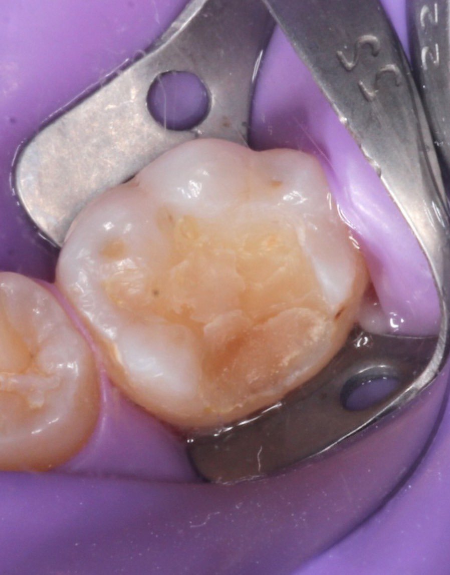 Khalid Alharbi tweet media