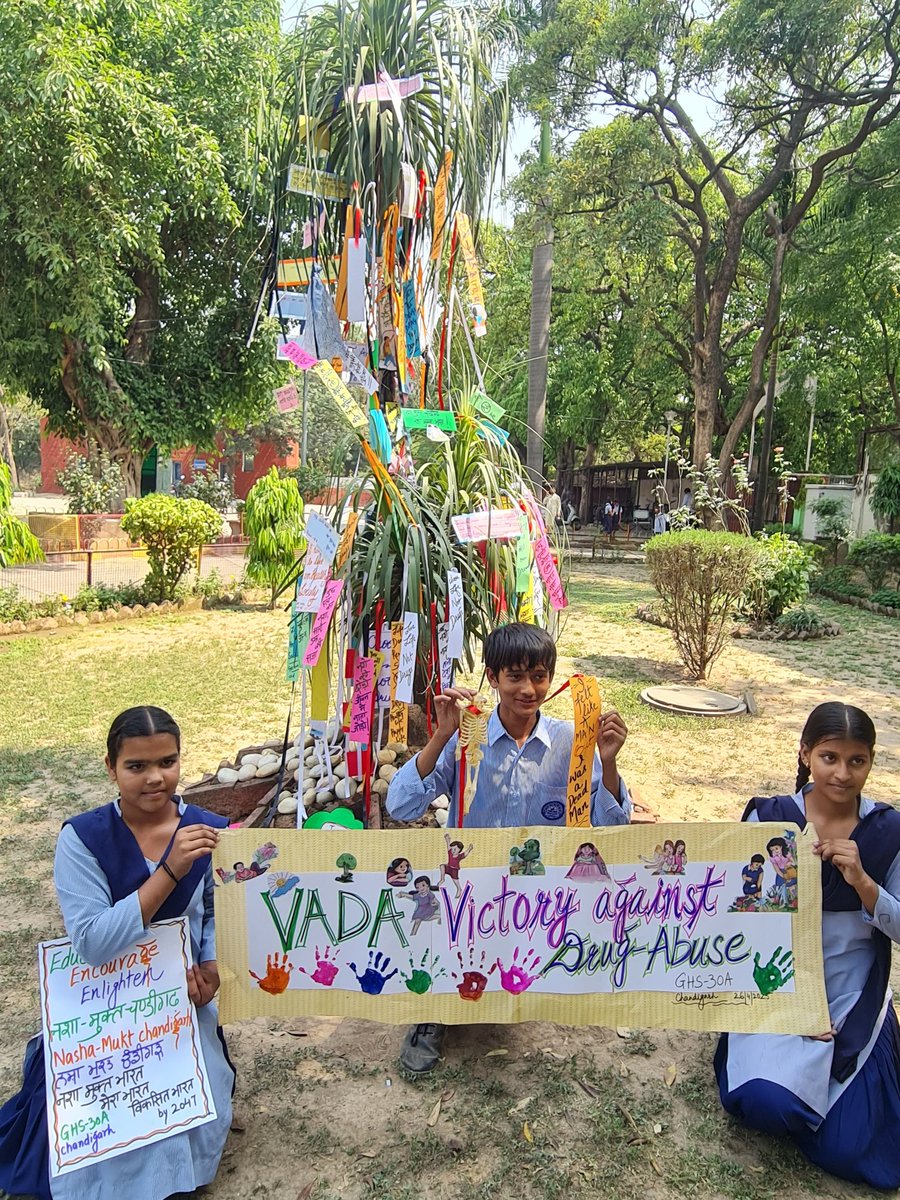 ghs30achd's tweet photo. @SchoolEduChd Thanks to our education deptt,chd for acknowledging students efforts @ghs30achd towards
#Wishtree🌳 as
नशा मुक्त चंडीगढ 🌟
नशा मुक्त भारत 🇮🇳
promising healthier,happier 🇮🇳
नशा छोड़ो,सपने जोड़ो 🌟
नई सोच,नया🇮🇳नशा मुक्त🇮🇳
new 🇮🇳 Drug free 🇮🇳 🇮🇳 https://t.co/HaPKVJ9uMX