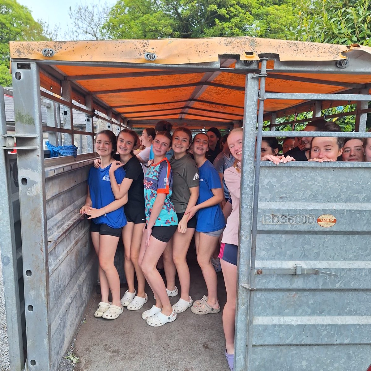 TY St Mary’s College, Naas tweet media