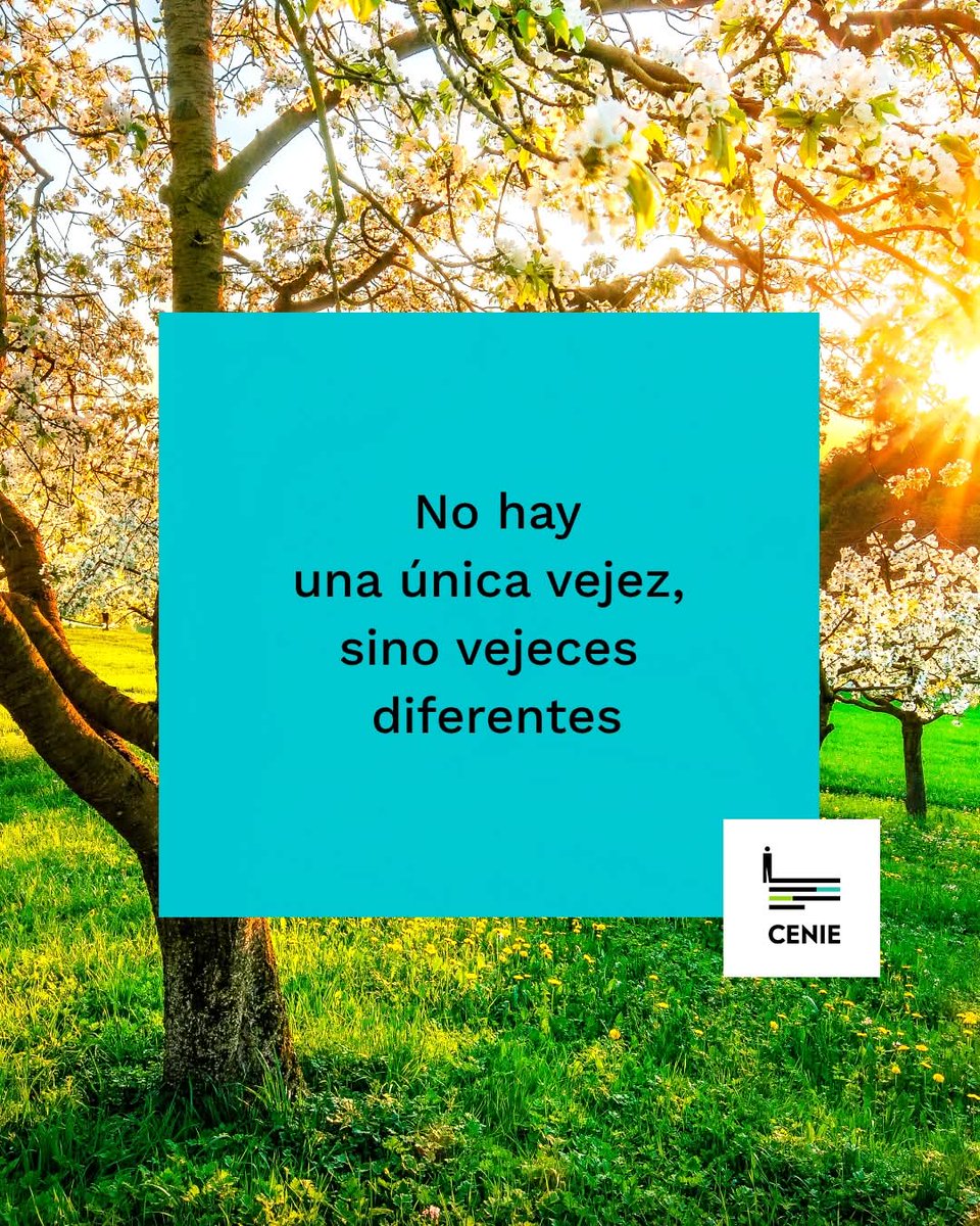 🌟 Longevidad: un viaje lleno de posibilidades 🌿

La longevidad abre puertas a una vida más rica y completa, donde cada etapa se convierte en una oportunidad para descubrir nuevas formas de cuidar el cuerpo, activar la mente y fortalecer los lazos con los demás. Es un camino que