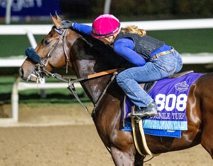 AirdrieStud's tweet image. 💐 Fondly in the (G1) KY Oaks.
🍀 Iron Man Cal in the (G1) American Turf Stakes.
🌹 Chunk of Gold in the (G1) KY Derby.
🌹 Publisher in the (G1) KY Derby.
That's four G1 horses in this weekend that were bred, raised, and offered at auction by Airdrie Stud. #ThinkAboutIt