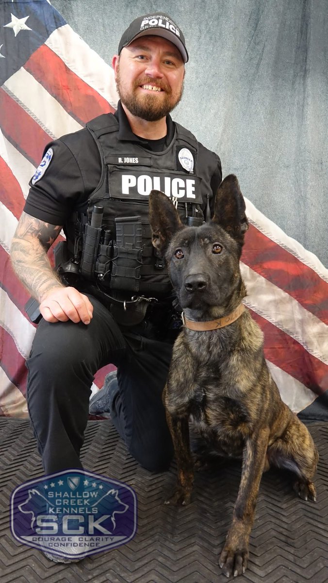 Rob Sanders 🇺🇸 tweet media