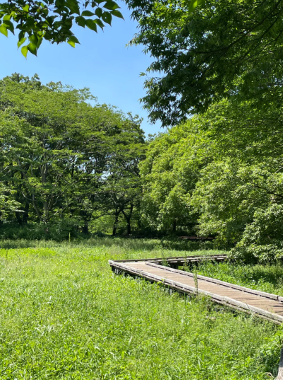 KyriedxYates's tweet photo. ここは私のお気に入りの公園です。 https://t.co/oEVa5NIHkf