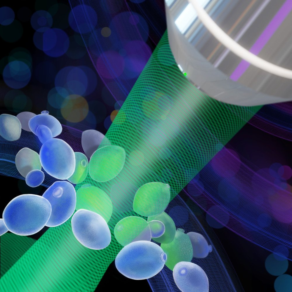 PřF UPOL (@prfupol) on Twitter photo Breakthrough in holographic microscopy 🔬 by Jaromír Běhal and
<a href="/QuantumHedgehog/">Miroslav Jezek</a> from <a href="/UPOlomouc/">Univerzita Palackého</a> <a href="/OpticsOlomouc/">QOLO</a>. Their new method
enables accurate, label-free biomedical imaging with incoherent light 🚀
Published in #OPG_Optica <a href="/OpticaWorldwide/">Optica</a> doi.org/pj9k Breakthrough in holographic microscopy 🔬 by Jaromír Běhal and
<a href="/QuantumHedgehog/">Miroslav Jezek</a> from <a href="/UPOlomouc/">Univerzita Palackého</a> <a href="/OpticsOlomouc/">QOLO</a>. Their new method
enables accurate, label-free biomedical imaging with incoherent light 🚀
Published in #OPG_Optica <a href="/OpticaWorldwide/">Optica</a> doi.org/pj9k
