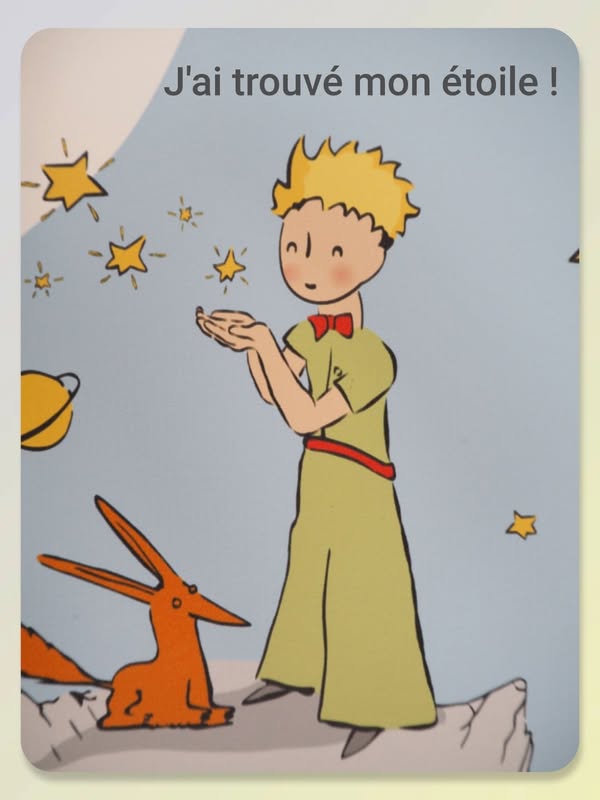 “J'ai seulement 
Choisi l'étoile
Que j'aimais
Et depuis ce
Temps là
Je dors avec la nuit...”

Pablo Neruda  🖋️