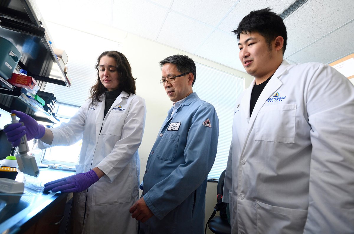Johns Hopkins MatSci (@jhumaterials) on Twitter photo Professor and <a href="/INBT_JHU/">The Johns Hopkins Institute for NanoBioTechnology</a> director Hai-Quan Mao relies on funding from the NIH to address health challenges including cancer, malaria, and nerve and tissue damage. Learn more about his research here: zurl.co/8tWtt
#ResearchMatters #ResearchSavesLives Professor and <a href="/INBT_JHU/">The Johns Hopkins Institute for NanoBioTechnology</a> director Hai-Quan Mao relies on funding from the NIH to address health challenges including cancer, malaria, and nerve and tissue damage. Learn more about his research here: zurl.co/8tWtt
#ResearchMatters #ResearchSavesLives