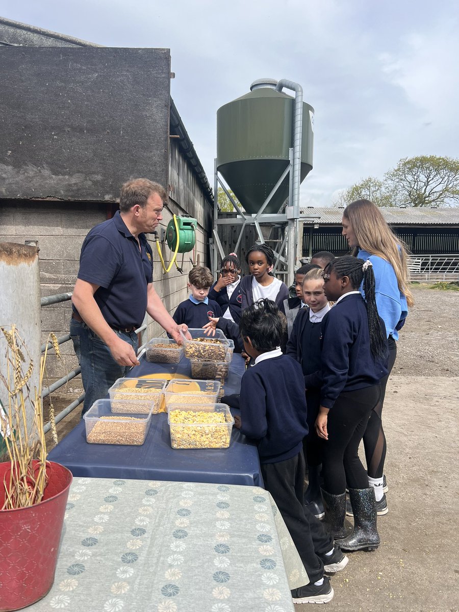 SHGorton's tweet photo. Class 6 enjoyed a visit to Northwood Farm, learning all about how the farm works, how to milk and cow and how to birth a lamb 🐑 🐄 https://t.co/XeQrKyviUT
