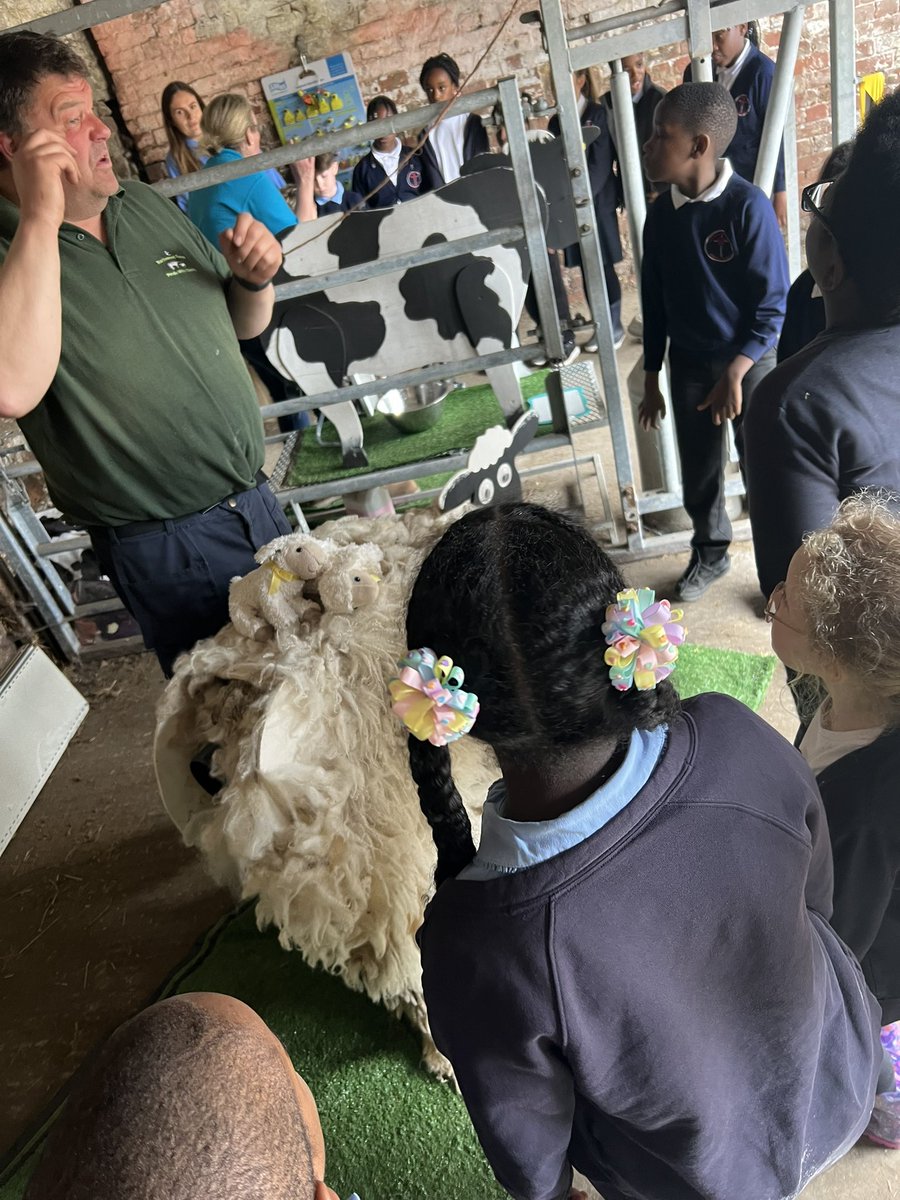 Class 6 enjoyed a visit to Northwood Farm, learning all about how the farm works, how to milk and cow and how to birth a lamb 🐑 🐄