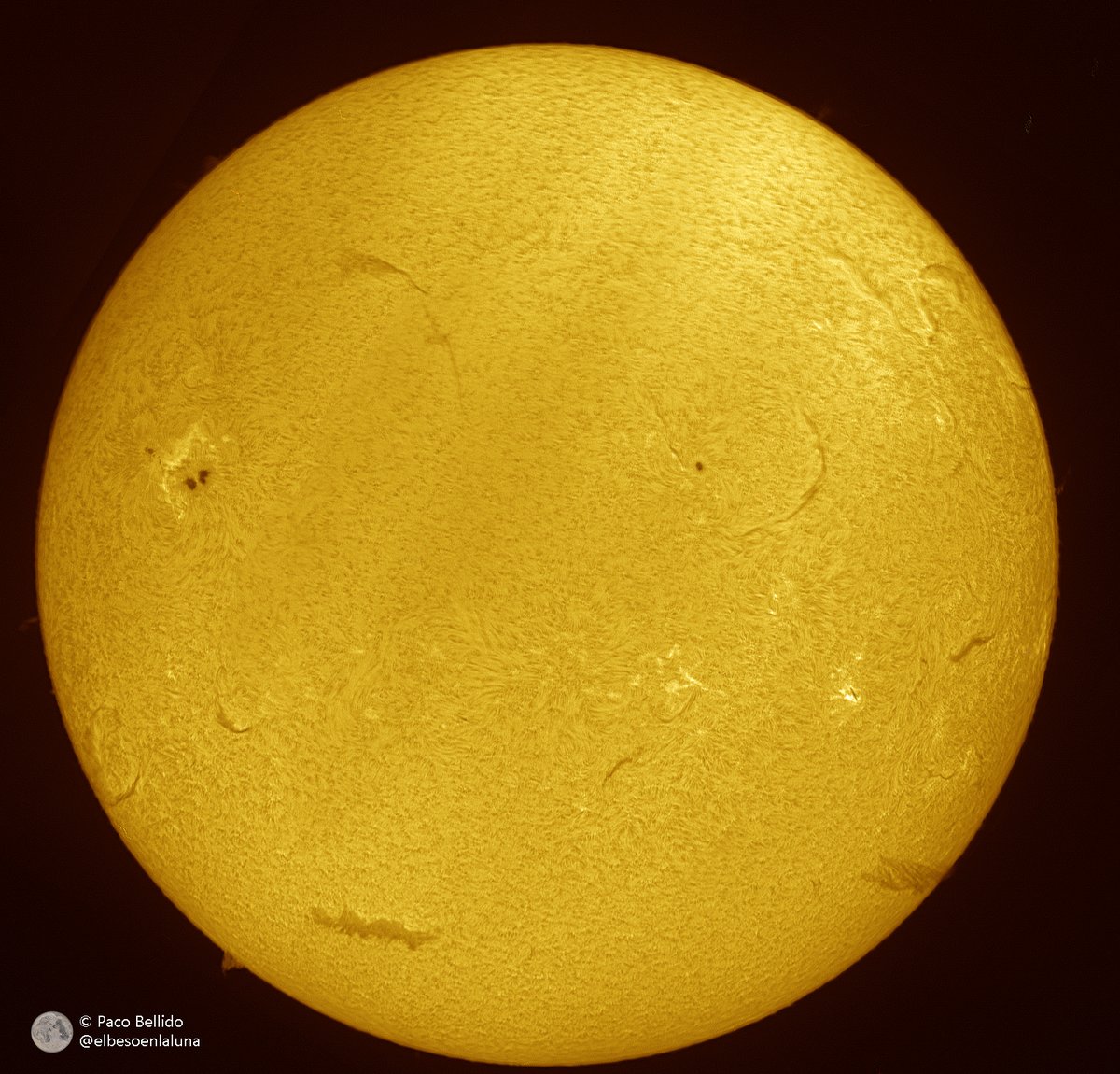 Paco Bellido tweet media