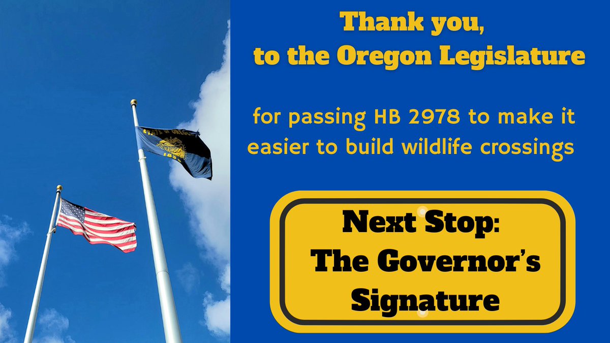 🦌We're pronking for joy! 🦌
The #orleg just passed HB 2978, which will make it easier to build wildlife crossings.  

Read in this press release why so many Oregon lawmakers support these projects which save lives and money. #ORPolitics 
keeporegonswildlifemoving.org/house-bill-297…