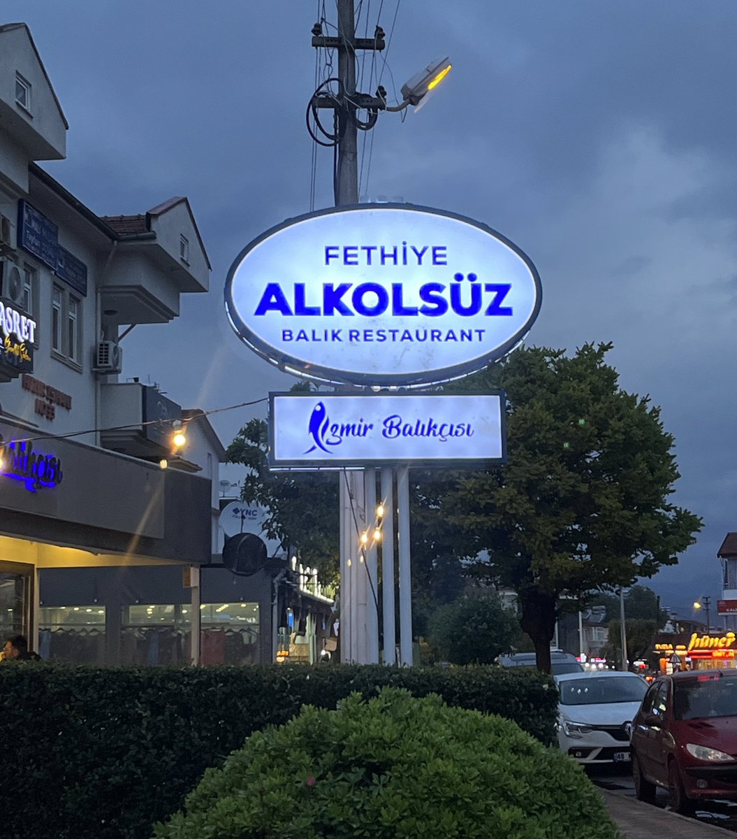 Fethiye’de denk geldiğimiz ve böyle bir şehirde tabelasına büyük harflerle alkolsüz yazacak kadar açık yürekli olan bu abinin mekanını övmeyi kendime bir borç bildim, balıkları da mezeleri de efsaneydi yolu Fethiye’ye düşenlere şiddetle tavsiyemdir