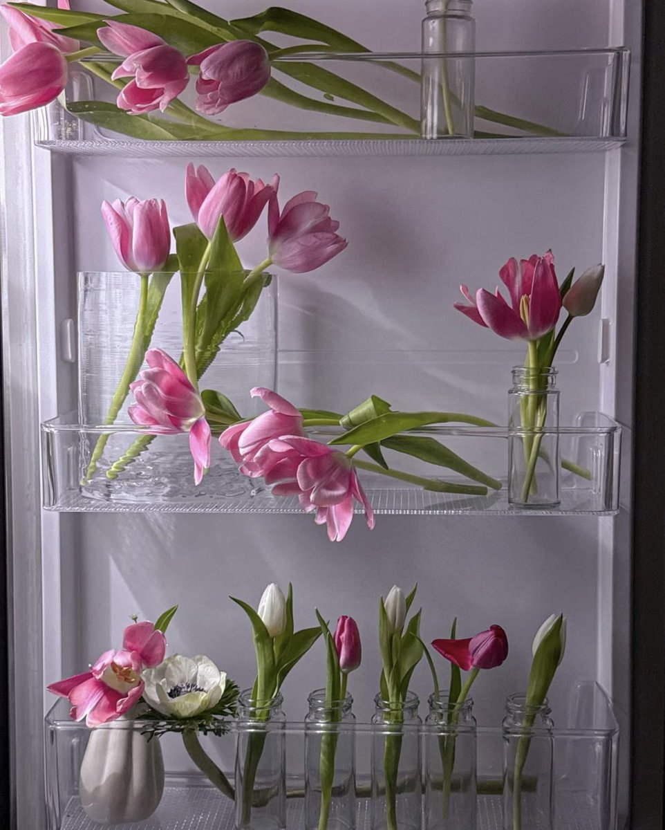 ✮⋆˙ (@dmugg7) on Twitter photo 