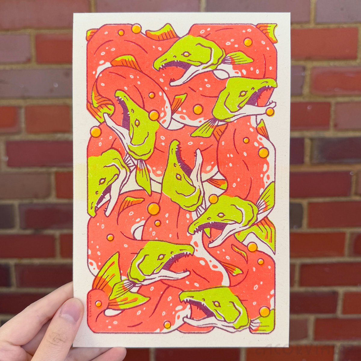salmon run, riso (fluorescent orange, light lime, maroon, yellow)

shop update on may 3, 2pm cst