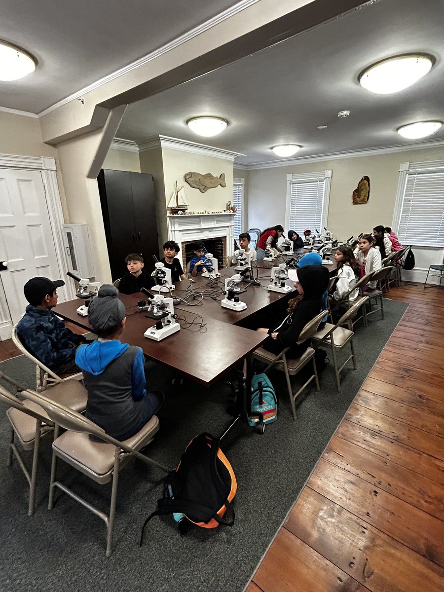 Robin Bayer tweet media