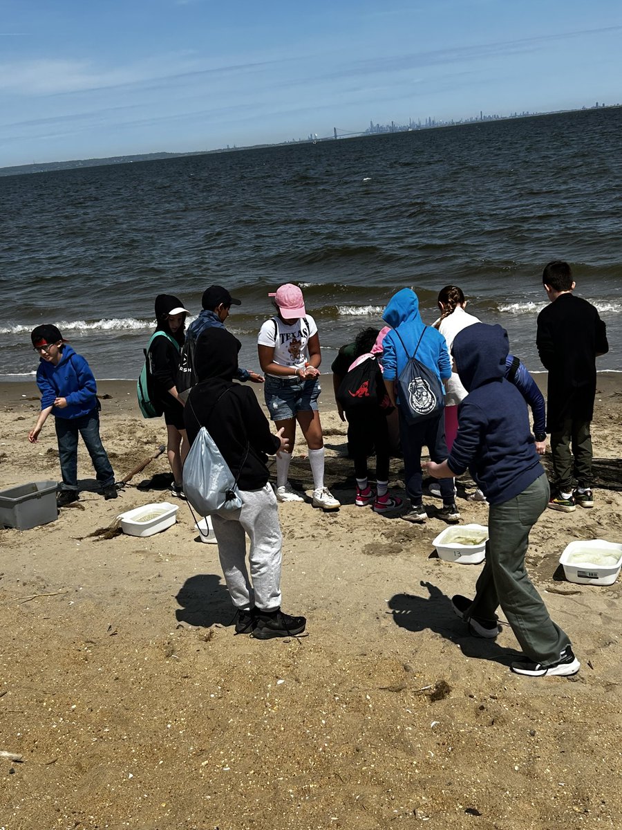 Robin Bayer tweet media