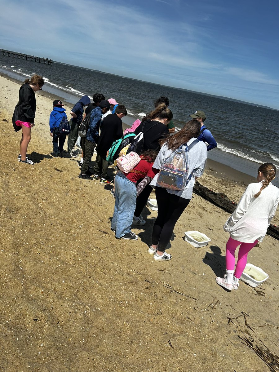 Robin Bayer tweet media