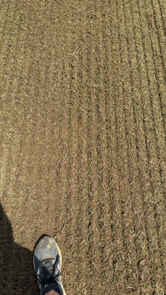 Fulksy41's tweet image. Verticut x 2
Sweep
Mow down to .400β
A little dust of sand
Our new summertime routine to keep it firm and fast.
@SouthernMissSoc @USMPhysPlant
