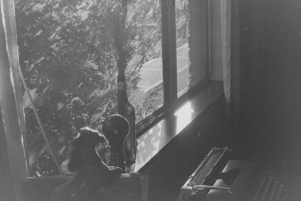 My latest on Substack. Sure, you could read about politics or watch cat videos, or some thought piece on the economic tumble the country is taking, but why not spend five minutes looking at some photos I took while I was a teenager instead?

open.substack.com/pub/timothypat…