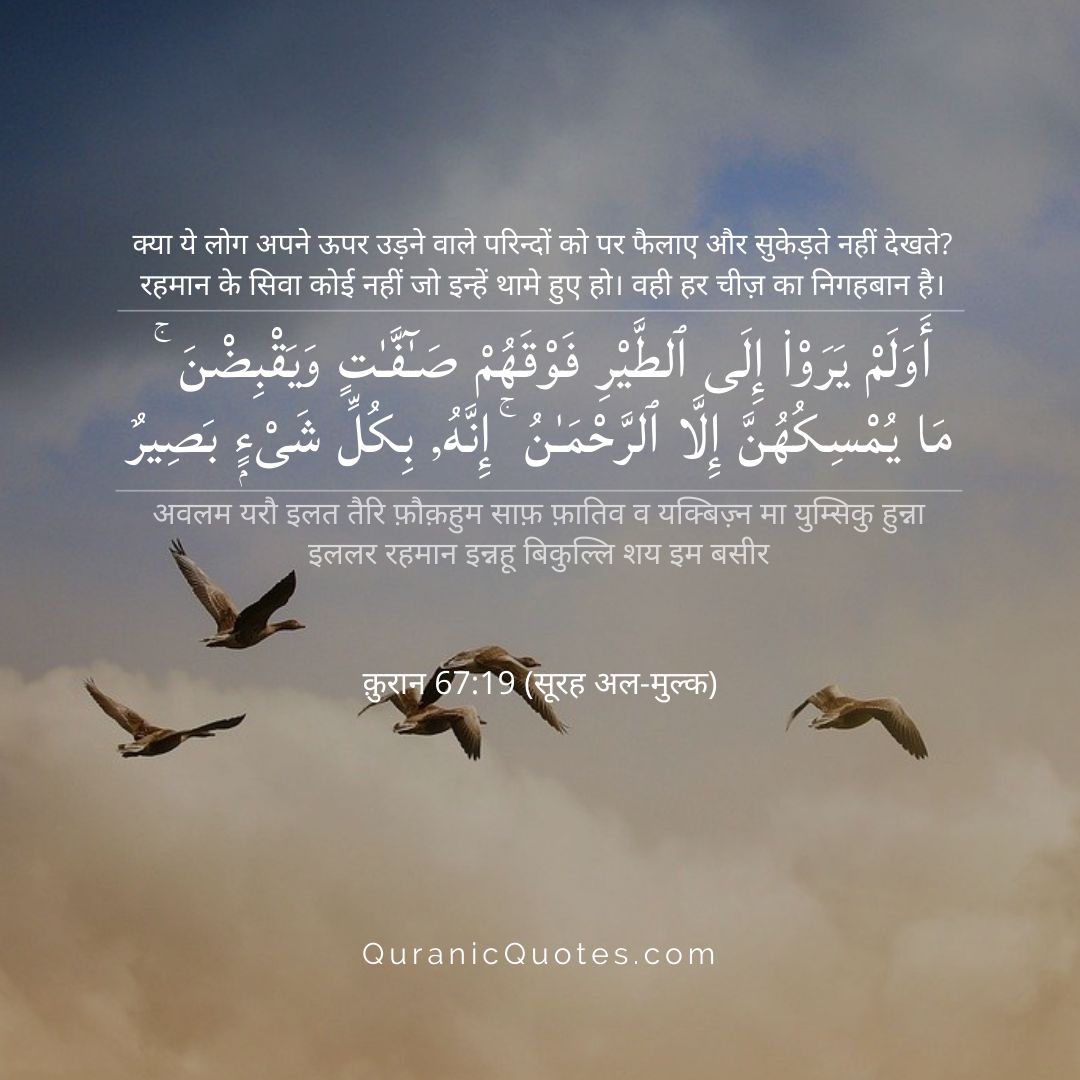 Surah Al-Mulk – Ayah 19
"Do they not see the birds above them, spreading and folding their wings? None holds them up except the Most Merciful. Indeed, He is, of all things, Seeing." (Surah Al-Mulk 67:19)